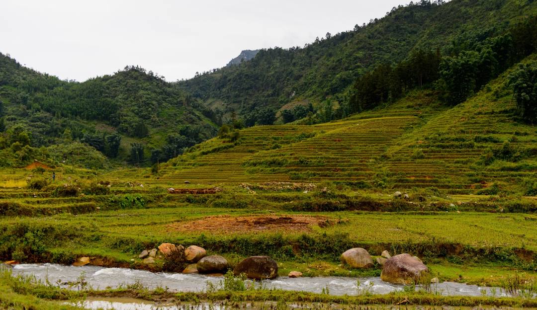 Half-Day Sapa Cultural Tour